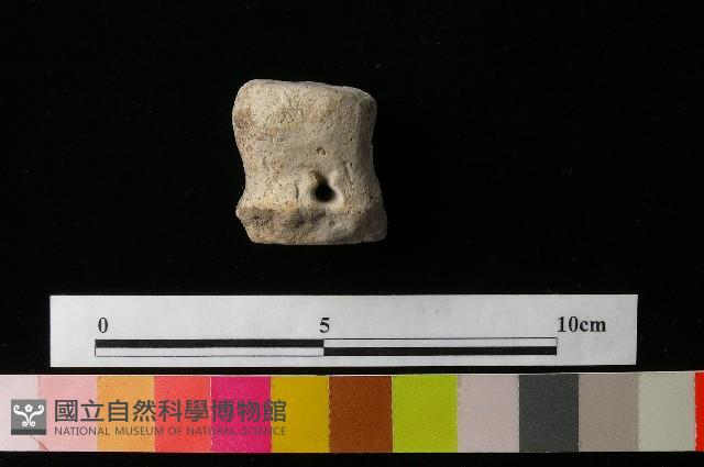 陶蓋藏品圖，第2張