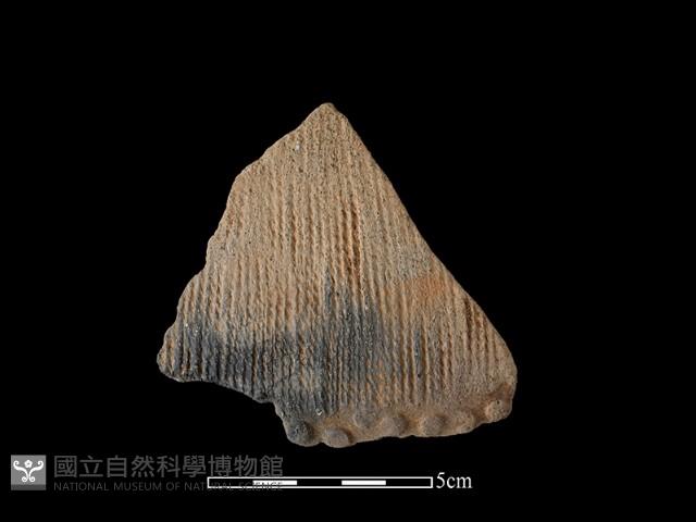 Accession Number:NSKII-2017-647 Collection Image