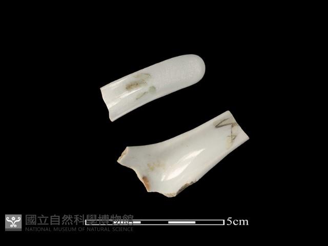 湯匙藏品圖，第1張