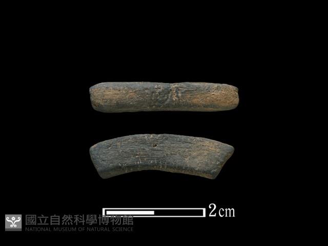 陶環藏品圖，第1張