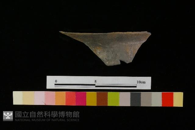 陶罐藏品圖，第1張