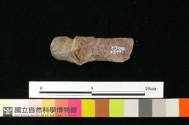 陶蓋藏品圖，第2張