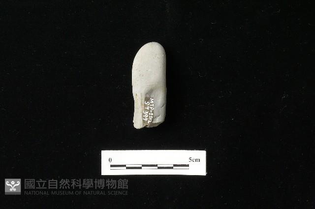 石材藏品圖，第1張