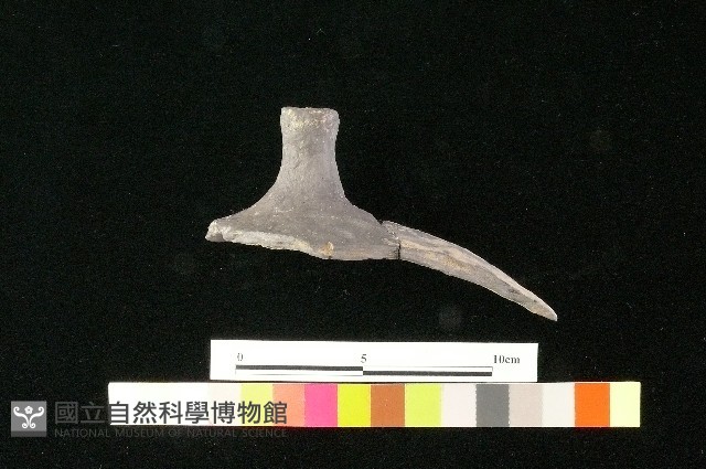 陶蓋藏品圖，第2張