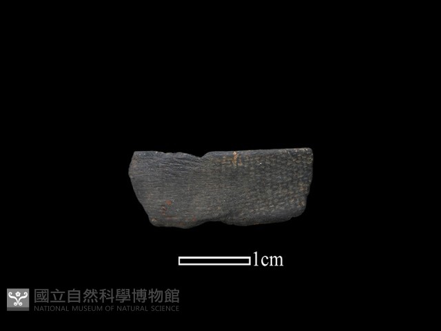 陶環藏品圖，第1張