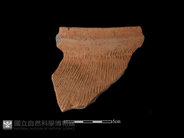 陶罐藏品圖，第2張