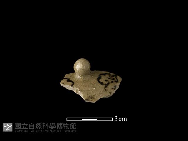 瓷蓋藏品圖，第2張