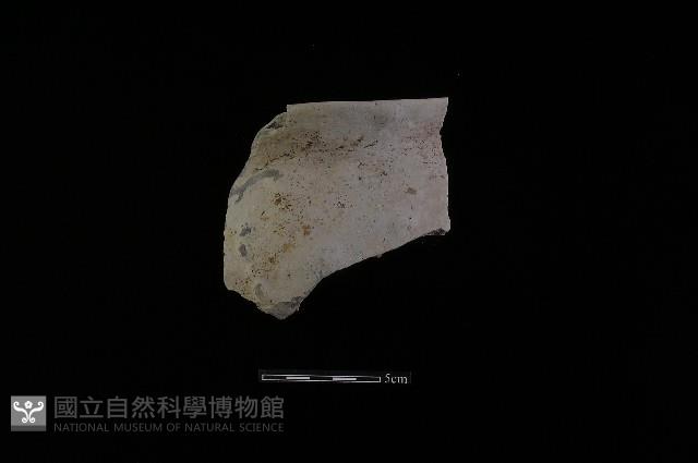 陶罐藏品圖，第1張