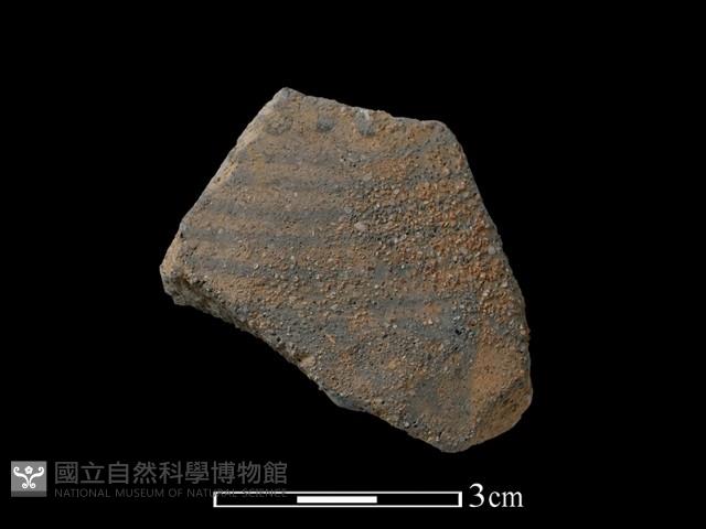 陶片藏品圖，第1張