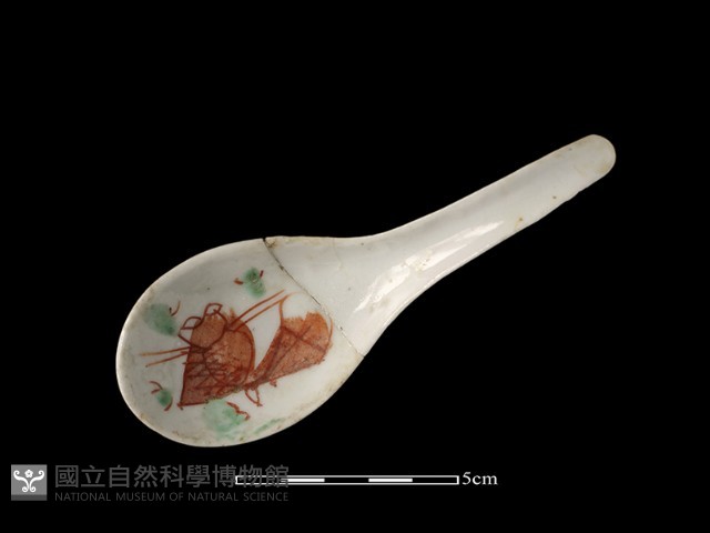 湯匙藏品圖，第2張