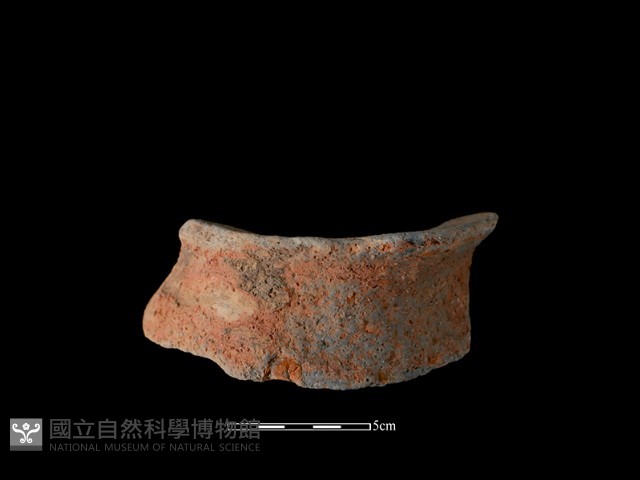 陶罐藏品圖，第2張