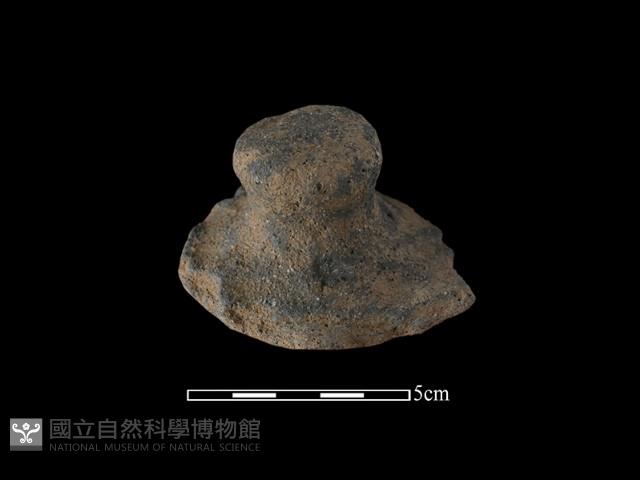 陶蓋鈕藏品圖，第1張