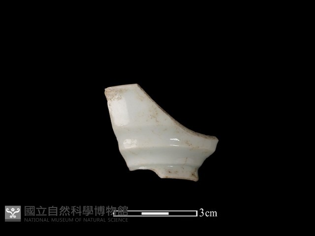 瓷杯藏品圖，第1張