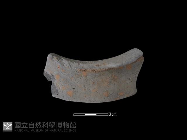 陶片藏品圖，第1張