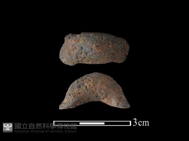 陶鈕藏品圖，第1張