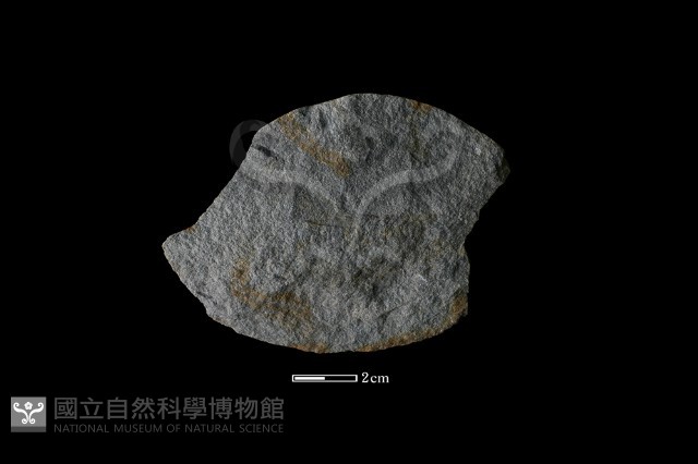石片器藏品圖，第1張