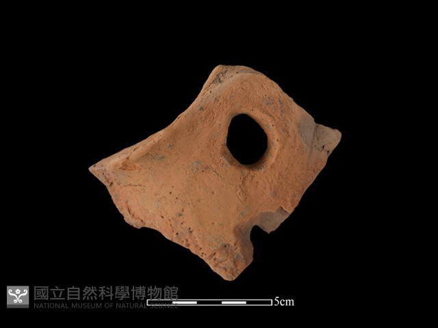 陶片藏品圖，第2張