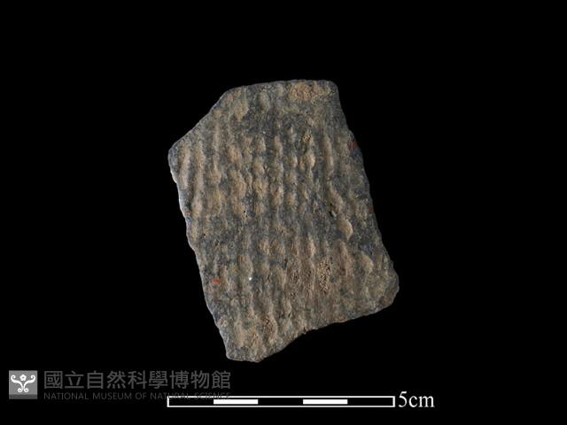 陶片藏品圖，第1張