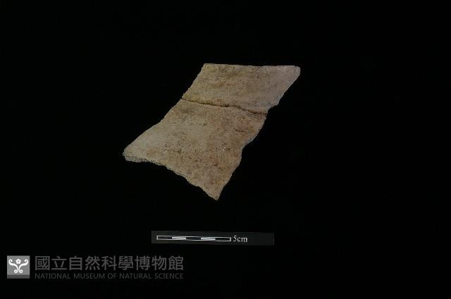 Accession Number:MTP-2012-PT460 Collection Image, Figure 2, Total 3 Figures