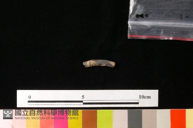 陶環藏品圖，第2張