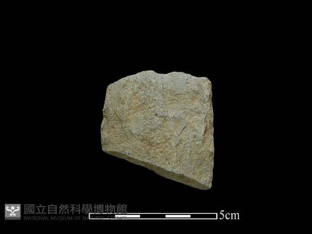 錛鑿形器藏品圖，第1張