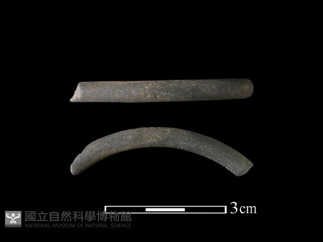 Accession Number:TC273-2018-020 Collection Image