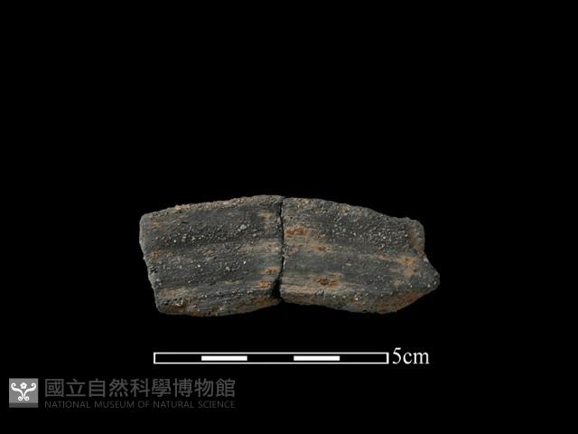 陶片藏品圖，第1張