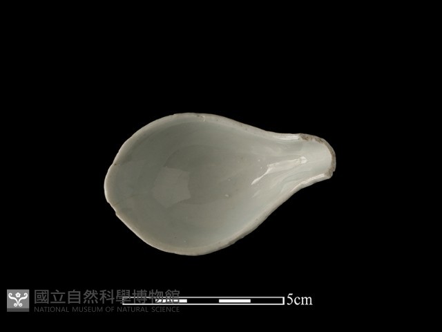 湯匙藏品圖，第1張