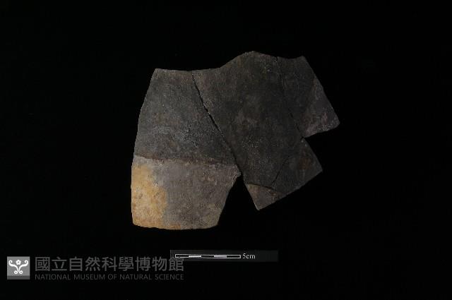 陶片藏品圖，第2張