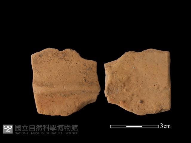 Accession Number:TC273-2018-200 Collection Image