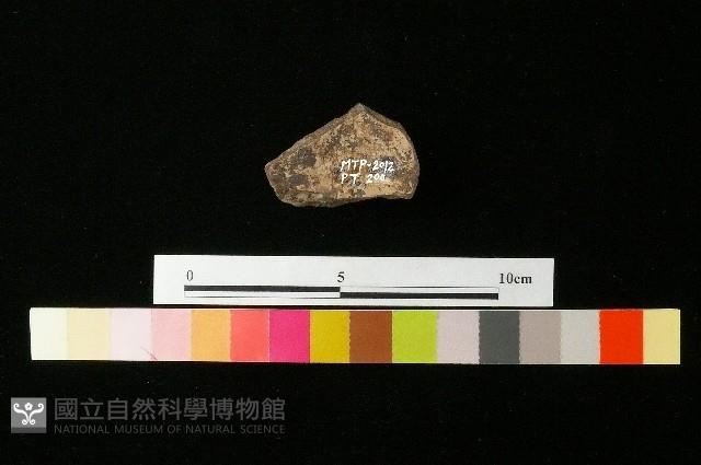 陶蓋藏品圖，第2張