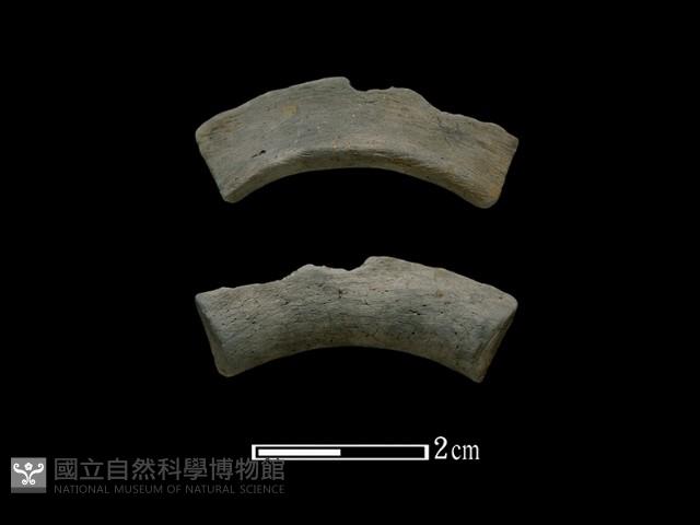 陶環藏品圖，第1張