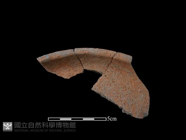 陶片藏品圖，第1張