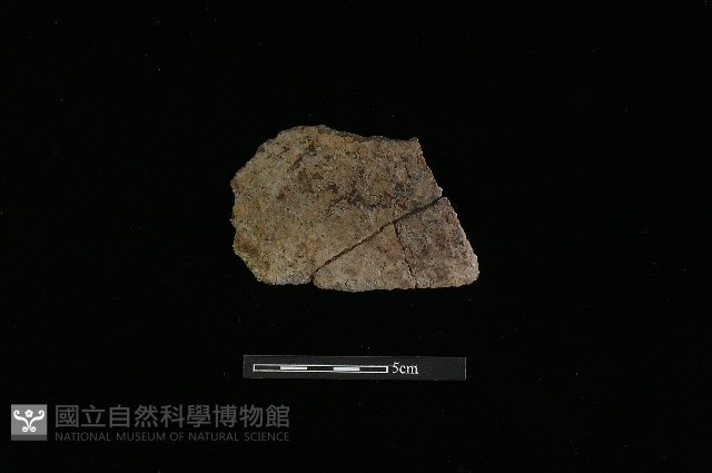 陶片藏品圖，第2張