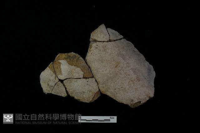 陶器藏品圖，第1張