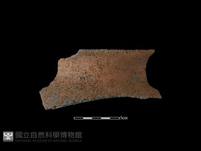 Accession Number:NSKII-2017-210 Collection Image, Figure 2, Total 2 Figures