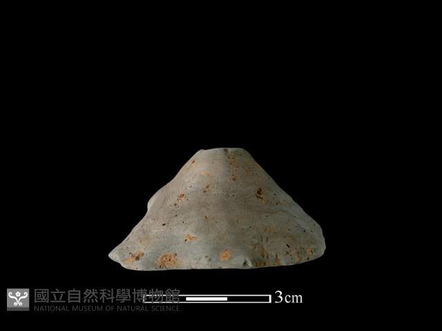 陶紡輪藏品圖，第1張