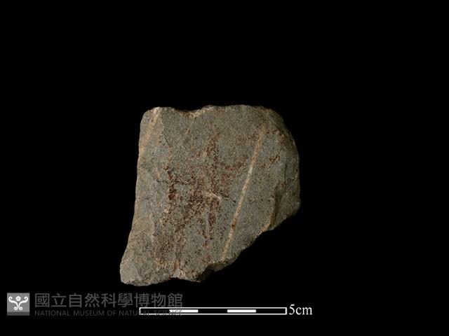 磨製斧鋤形器藏品圖，第2張