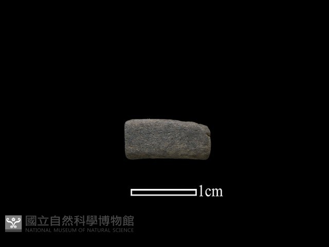 陶環藏品圖，第1張