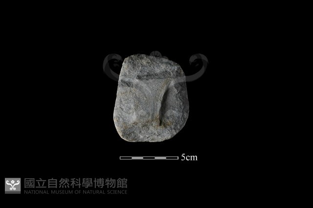 石鎚藏品圖，第1張