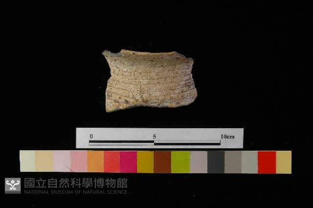 陶罐藏品圖，第2張