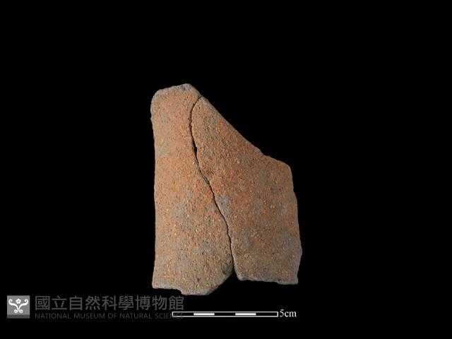 陶片藏品圖，第1張