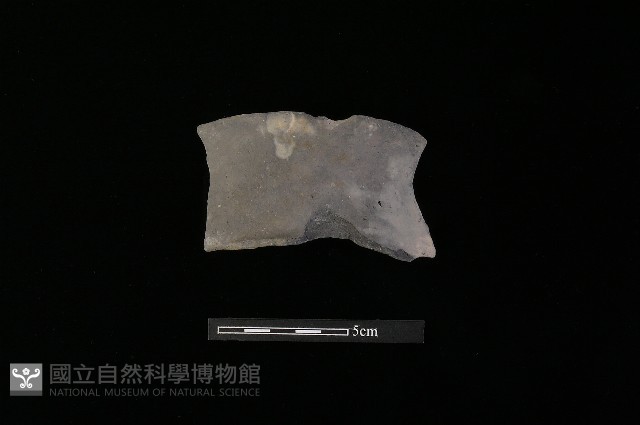 陶罐藏品圖，第2張