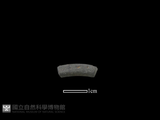 陶環藏品圖，第1張