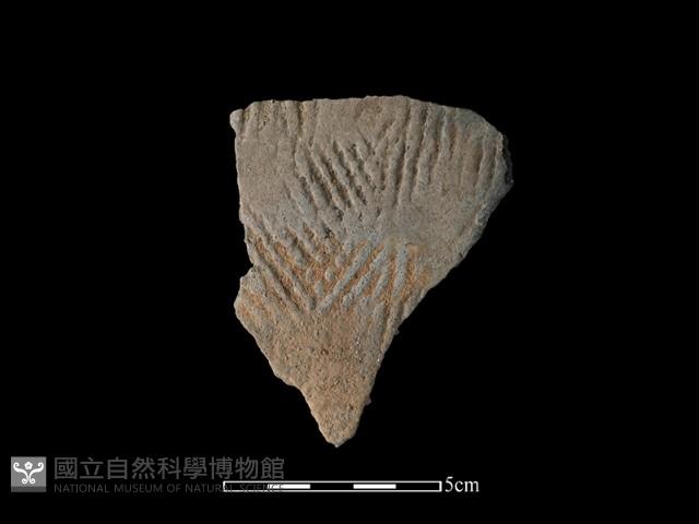 陶片藏品圖，第1張