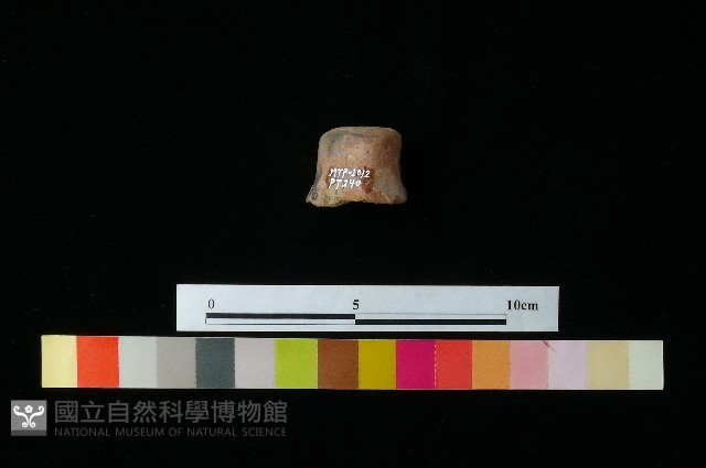 陶蓋藏品圖，第1張