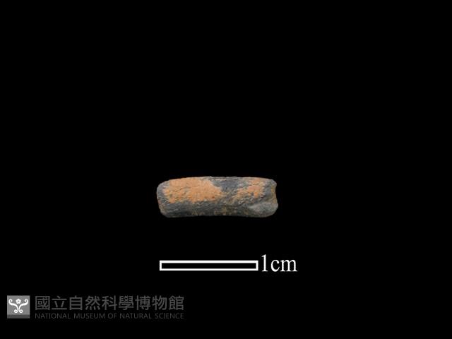 陶環藏品圖，第1張