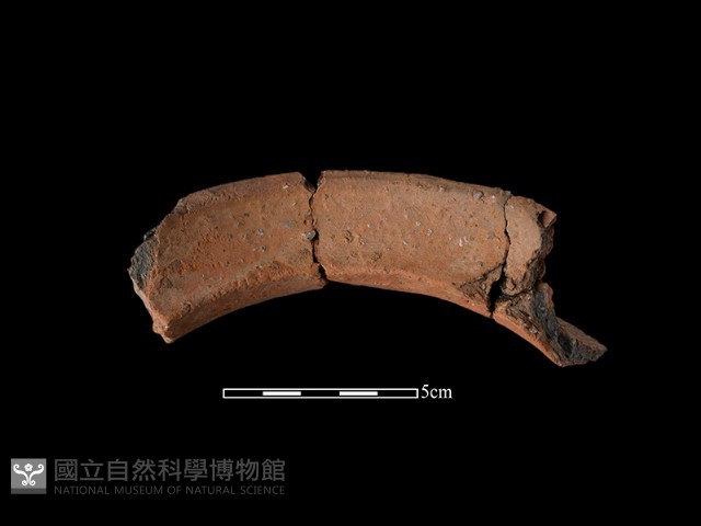 陶罐藏品圖，第1張