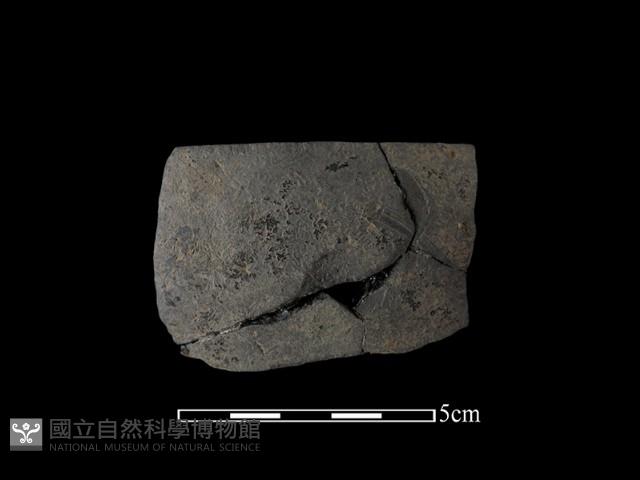 陶缽藏品圖，第2張