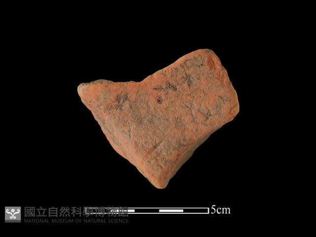 連杯形器藏品圖，第2張